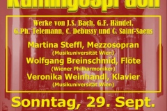 Konzert mit Kamingespräch