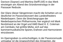 Passau_Kritik3